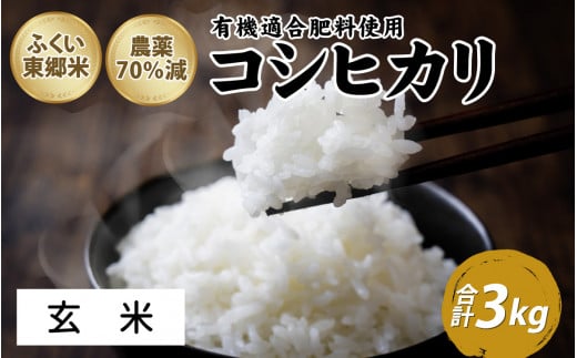 令和6年産 ふくい東郷米 特別栽培米 農薬70％減 コシヒカリ 3kg【玄米】[A-020018_02] 1313890 - 福井県福井市