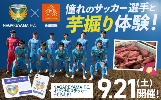 【9月21日開催】さつまいも堀体験 流山FC＆森田農園 芋堀り お芋 2kg と オリジナルステッカー がもらえる！ 事業者コラボ《30日以内に出荷予定(土日祝除く)》 千葉県 流山市 芋 さつまいも NAGAREYAMA F.C. サッカー サッカー選手 1457618 - 千葉県流山市