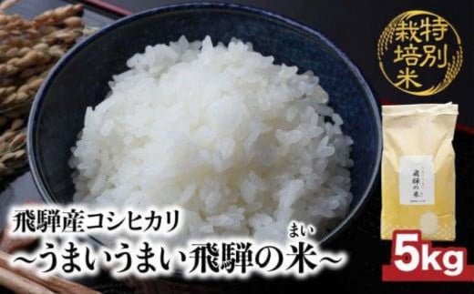 【令和6年産 新米】 飛騨産コシヒカリ 「うまいうまい飛騨の米」 白米 5kg | こしひかり 飛騨産 精米 お米 特別栽培米 飛騨高山 ファームジネンいいむら GG015 590468 - 岐阜県高山市