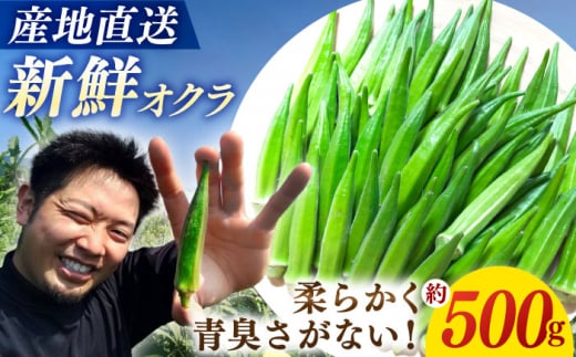 【☆先行予約☆】【朝採れ旬野菜】オクラ 約500g  長崎 西海 オクラ おくら 贈答 ギフト ＜パッパラパー農園＞ [CFI007] 1449040 - 長崎県西海市