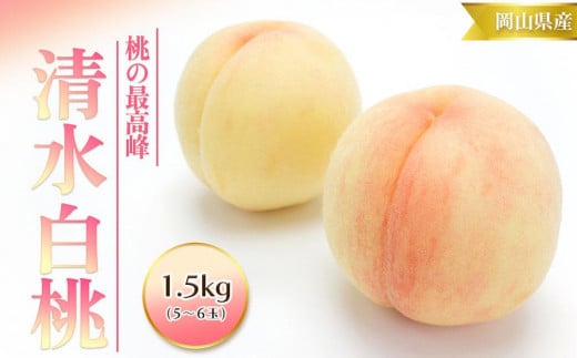 桃 2024年 先行予約 清水 白桃 1.5kg 5～6玉 もも モモ 岡山 国産 フルーツ 果物 ギフト 桃茂実苑 776496 - 岡山県岡山市