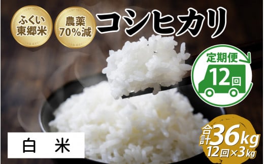 【定期便12ヶ月連続】令和6年産 ふくい東郷米　特別栽培米　農薬70％減コシヒカリ 3kg×12ヶ月 合計36kg【白米】[J-020024_01] 1313919 - 福井県福井市