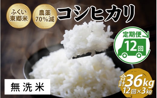 【定期便12ヶ月連続】令和6年産 ふくい東郷米　特別栽培米　農薬70％減コシヒカリ 3kg×12ヶ月 合計36kg【無洗米】[J-020024_04] 1313922 - 福井県福井市