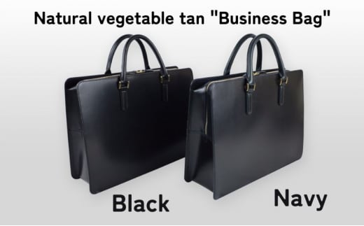 Business Bag