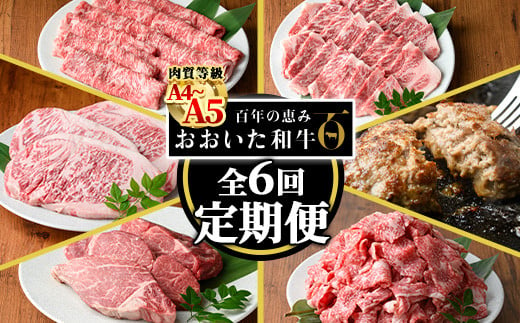 ＜定期便・全6回(連続)＞おおいた和牛 定期便 (総量4.33kg) 国産 牛肉 肉 霜降り A4 A5 黒毛和牛 ステーキ すき焼き しゃぶしゃぶ 焼肉 和牛 豊後牛 ブランド牛 冷凍 ハンバーグ【HE12】【(株)吉野】 1449519 - 大分県佐伯市