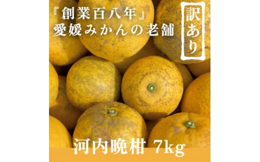 創業百八年 愛媛みかんの老舗＜河内晩柑 7kg＞訳あり＜C70-45＞【1537315】