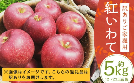 【訳あり】 紅いわて 約5kg 家庭用／わけあり りんご リンゴ フルーツ 果物 岩手 【2024年9月上旬発送開始】 1445537 - 岩手県二戸市