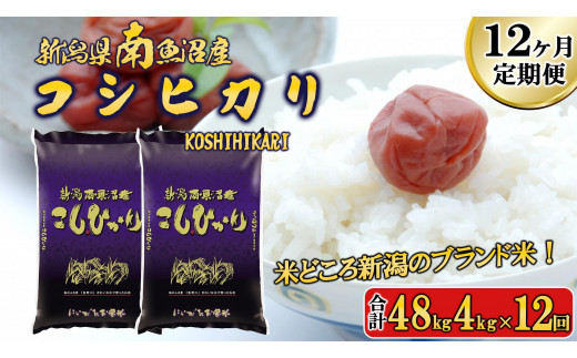 【令和6年産新米予約／令和6年11月上旬より順次発送】【F-12定期便】南魚沼産コシヒカリ4kg×12回 1448622 - 新潟県南魚沼市