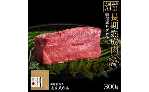 熟成肉　土佐和牛　特選赤身ブロック　約300g　田野屋銀象完全天日塩付き 1448198 - 高知県高知市