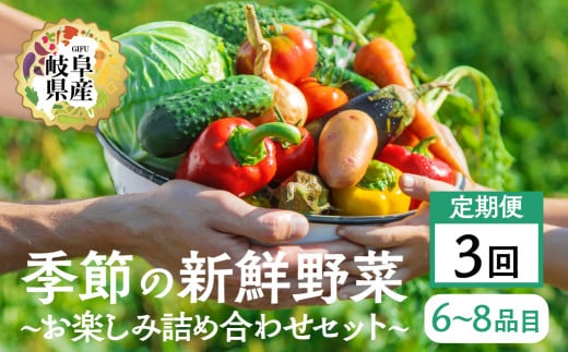 季節の野菜セットA 6～8品目 お届け回数  3回  お届け 定期便 3か月 品目おまかせ BBQ 春 夏 秋 冬 野菜 料理 自宅用 岐阜県産 本巣市 新鮮 やさい 数量限定 冷蔵 道の駅 織部の里 [mt1615] 1454245 - 岐阜県本巣市