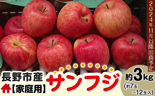 J1005 長野市産【家庭用】サンふじ 約3kg【2024年11月下旬以降出荷予定】(さらしな青果) 果物 リンゴ りんご 林檎 さんふじ サンフジ わけあり 訳あり 信州 3キロ 長野県