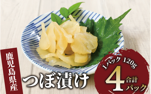 つぼ漬480g(120g×4P)(中園久太郎商店/005-1676) 漬物 漬け物 つけもの つぼづけ つぼずけ 鹿児島 指宿 いぶすき 久太郎 ご飯のお供 ごはんのおとも ご飯 ごはん お試し 小容量 小分け ポスト投函 鹿児島県産 国産 醤油漬け しょうゆ漬け だいこん 大根 1437665 - 鹿児島県指宿市