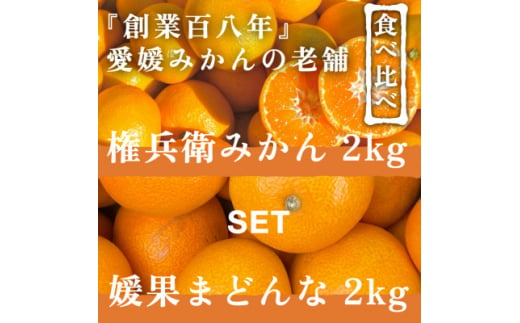 創業百八年 愛媛みかんの老舗＜権兵衛みかん2kg＞+＜媛果まどんな2kg＞セット＜C70-36＞【1536339】