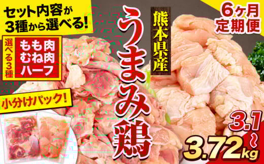 【6ヶ月定期便】鶏肉 選べる もも肉 or むね肉 うまみ鶏 大容量 便利な 小分け 鶏もも肉 鶏むね肉 冷凍 もも モモ むね ムネ 若どり 定期便 個包装 熊本県産《お申込み月の翌月から出荷開始》