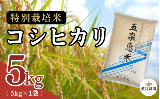 先行予約・2024年10月中旬発送予定】越後村松の栗 【ぽろたん】（2kg） 新潟県 五泉市 村松特産振興協議会栗部会 - 新潟県五泉市｜ふるさとチョイス  - ふるさと納税サイト