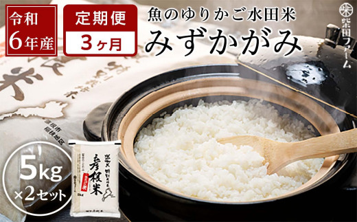 【数量限定】令和6年産（新米）【3ヵ月定期便】滋賀県認証！魚のゆりかご水田米「みずかがみ」白米 5kg×2セット【柴田ファーム】｜お米 白米 近江米 米 みずかかみ こめ コメ 10キロ 彦根 ひこね 滋賀 コメ 10kg お米 白米 米 おすすめ 5kg×2 おこめ お米 白米 みずかがみ 米 お米 10kg お米 10kg 白米 お米 おこめ 近江米 頒布会 803065 - 滋賀県彦根市