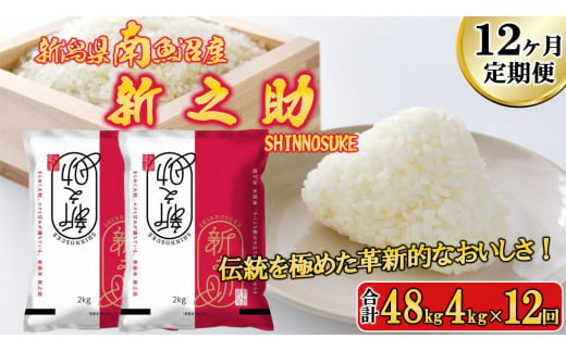 【令和6年産新米予約／令和6年11月上旬より順次発送】【G-12定期便】南魚沼産新之助4kg×12回 1448625 - 新潟県南魚沼市