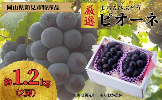 のてちゃんぶどう園 ピオーネ 約2kg 3～4房 【先行予約 2025年9月中旬から順次発送】 - 岡山県新見市｜ふるさとチョイス - ふるさと納税 サイト