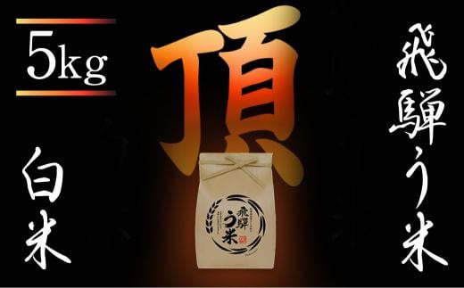 【数量限定/先行受付】令和6年産 飛騨う米『頂』5kg | 白米 飛騨コシヒカリ 米  飛騨高山 コシヒカリ 飛騨高山 株式会社拳 GW007