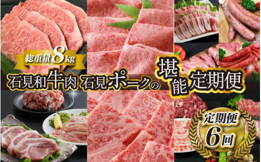 「定期便 全6回」邑南自慢 石見和牛肉・石見ポーク 堪能定期便 総重量8kg