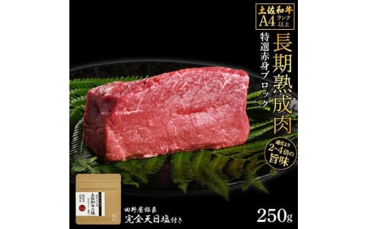 熟成肉　土佐和牛　特選赤身ブロック　約250g　田野屋銀象完全天日塩付き 1448196 - 高知県高知市