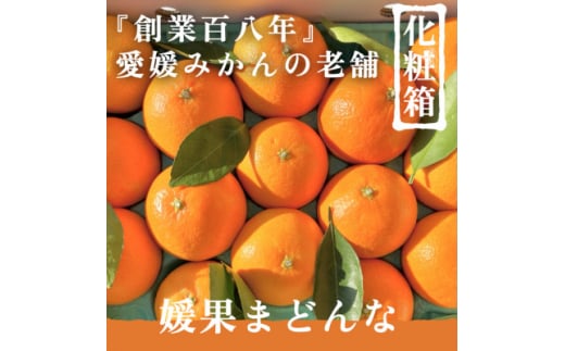 創業百八年愛媛みかんの老舗＜媛果まどんな＞L～3L化粧箱10～15玉＜新口農園厳選＞＜E70-44＞【1537310】