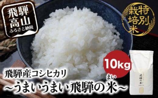 【令和6年産 新米】 飛騨産コシヒカリ白米 「うまいうまい飛騨の米」 白米 10kg | こしひかり 飛騨産 精米 お米 特別栽培米 飛騨高山 ファームジネンいいむら GG016 670798 - 岐阜県高山市