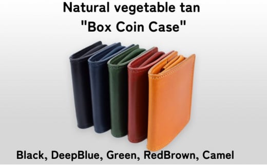 Box Coin Case