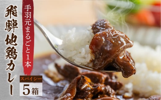 訳あり 飛騨地鶏カレー(5袋) チキンカレー スパイシー 簡易包装