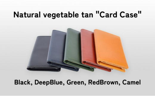 [№5258-8092]1100 Card Case Green 1448933 - 兵庫県姫路市