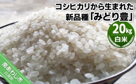 令和６年産・白米『みどり豊』20kg　10月初旬頃から発送