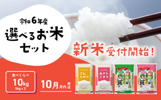 コシヒカリ 20kg (5kg×4袋) 令和6年産 新米 10月発送 先行予約 精米 白米 茨城県産 八千代町 米 人気 [SF017ya] - 茨城県八千代町｜ふるさとチョイス  - ふるさと納税サイト