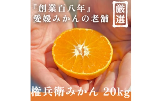 創業百八年 愛媛みかんの老舗＜権兵衛みかん20kg＞愛媛県川上産＜新口農園厳選＞＜H70-33＞【1536301】