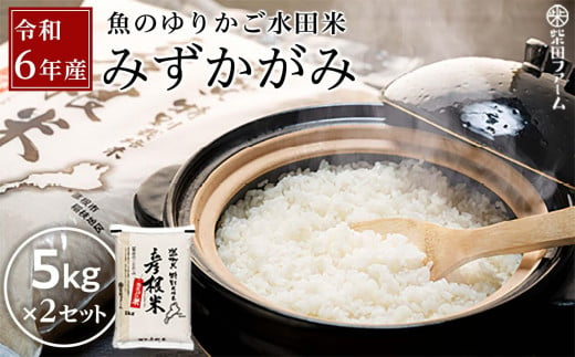 [数量限定]令和6年産(新米)滋賀県認証!魚のゆりかご水田米「みずかがみ」白米5kg×2セット[柴田ファーム]|お米 白米 近江米 米 みずかかみ こめ コメ 10キロ 彦根 ひこね 滋賀 コメ 10kg お米 白米 米 おすすめ 5kg×2 おこめ お米 白米 みずかがみ 米 お米 10kg お米 10kg 白米 お米 おこめ 近江米