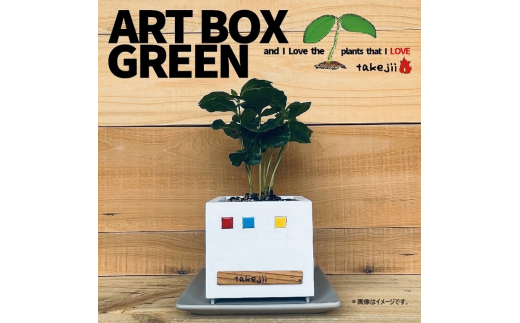 インテリア ART BOX GREEN / 002(□） アートボックス 観葉植物 多肉植物 岡山 赤磐市  takejii craft