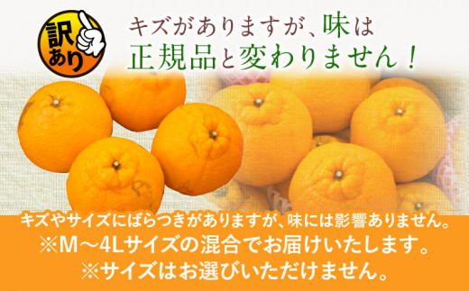 訳ありの理由画像