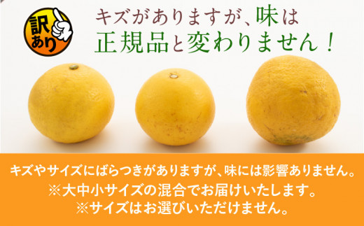 訳ありの理由画像
