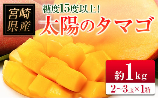 宮崎県のふるさと納税 ◆糖度15度以上！宮崎県産 「太陽のタマゴ」（合計約1kg）