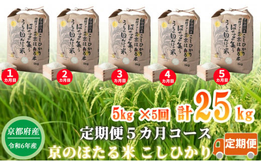 【新米】【定期便5カ月コース】京都丹波産こしひかり 西村ファームの京ほたる米 5kg[髙島屋選定品］076N634 【令和6年産新米予約】|株式会社　 髙島屋