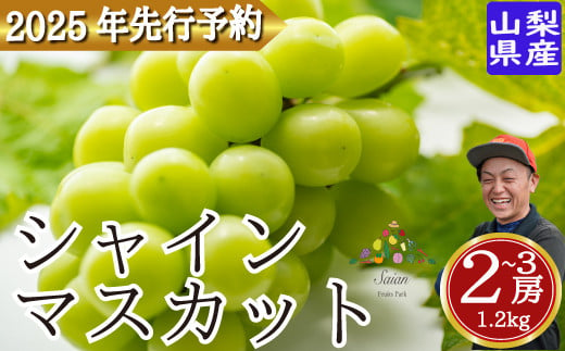 山梨県富士川町のふるさと納税 【2025年発送分 先行予約】 シャインマスカット 約1.2kg（2～3房） 8月中旬以降発送予定 フルーツ 山梨県産 果物 シャイン マスカット ぶどう ブドウ 大粒 種なし 産地直送  富士川町 先行予約（A5302）