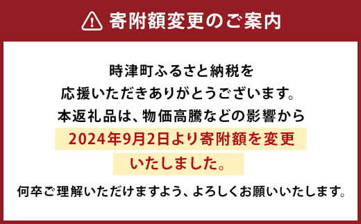 プリンづくし 12種類 詰め合わせ 80g×12個