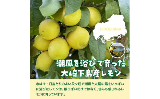 栽培期間中農薬不使用「レモン」 約1kg レモン れもん 檸檬 特別栽培 皮まで安心 瀬戸内 産地直送 お取り寄せグルメ 送料無料 特別栽培農産物  広島県 呉市 - 広島県呉市｜ふるさとチョイス - ふるさと納税サイト