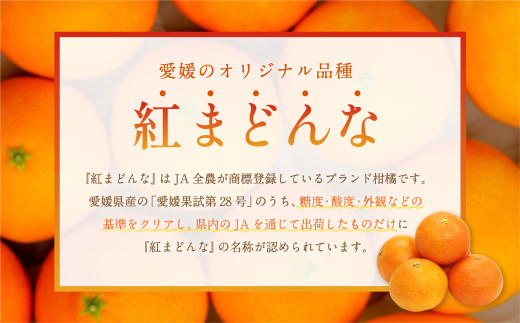 愛媛の旬の柑橘 「紅まどんな」約1.7㎏ 果物 くだもの フルーツ 柑橘 かんきつ【12月頃発送】（11）