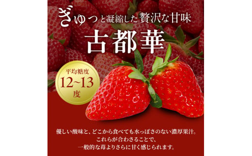 奈良県大和郡山市のふるさと納税 今西さん家の奈良いちご 古都華 約540g(270g× 2パック ) フルーツ いちご 果物 旬 糖度 産地直送 農家直送 旬のフルーツ 旬の果物 お取り寄せ おやつ デザート ことか 苺 冷蔵 冷蔵配送 奈良 大和郡山市 [№5990-0421]