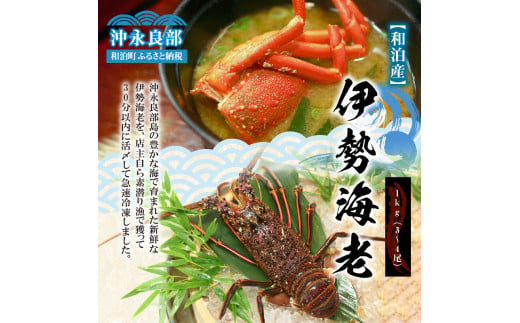 鹿児島県和泊町のふるさと納税 【漁師直送】活き〆冷凍  天然伊勢海老1kg（3～4尾）　W005-001u