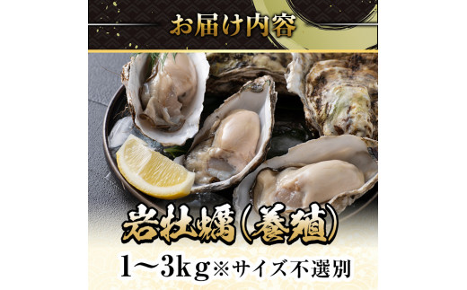 選べる＞＜先行予約受付中！3月中旬～4月下旬発送予定＞岩牡蠣(養殖)サイズ不選別(1～3kg)【sm-DD001・sm-DD002・sm-DD003】【Workplays】  - 鳥取県境港市｜ふるさとチョイス - ふるさと納税サイト