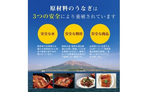 鹿児島県鹿屋市のふるさと納税 1772-3 うなぎ問屋の 備長炭手焼 うなぎ蒲焼2尾（300g）