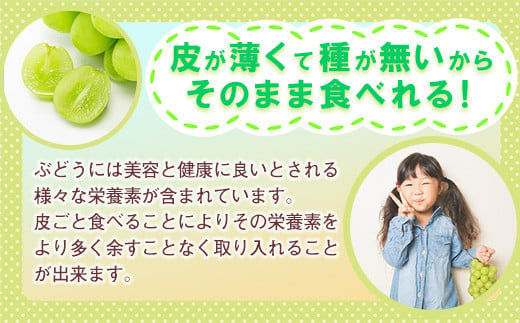 2025年先行予約】岡山県産 シャインマスカット 約5kg前後（6房～9房）訳あり家庭用 優品 / わけあり 岡山 岡山県 晴王 はれおう ハウス  2024年発送 葡萄 ぶどう 果物 くだもの フルーツ 訳あり 700g 1400g 1.2kg以上 1.4kg 5kg 1kg 1房 2.0 2キロ  1房 2房 3房 4房 5房