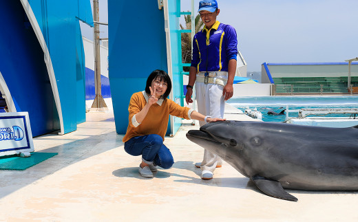 海の生き物たちと触れ合える「ディスカバリーガイダンス」の体験料割引や事前予約も特典の１つ！