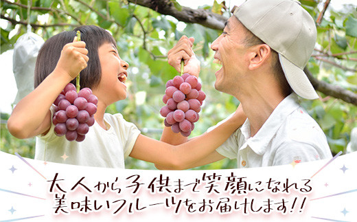 ①② 【岡山県産】瀬戸ジャイアンツ 8房 約5キロ（2025年 先行予約 